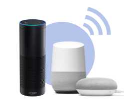 Exemple d'assistants vocaux