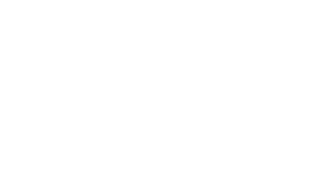 Logo blanc de la fondation du collège de france