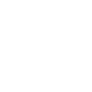 logo ics blanc