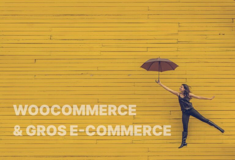 Cr&eacute;ation de sites e-commerce avec Woocommerce