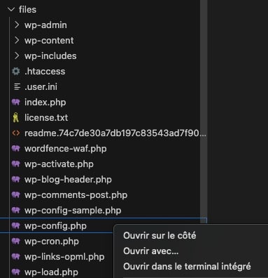 Fichier wp-config.php dans WordPress